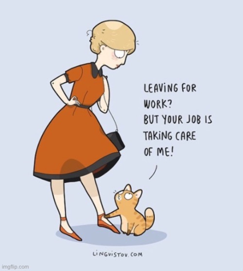 image tagged in cats,comics/cartoons,your real job | made w/ Imgflip meme maker