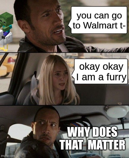 The Rock Driving | you can go to Walmart t-; okay okay I am a furry; WHY DOES THAT  MATTER | image tagged in memes,the rock driving | made w/ Imgflip meme maker