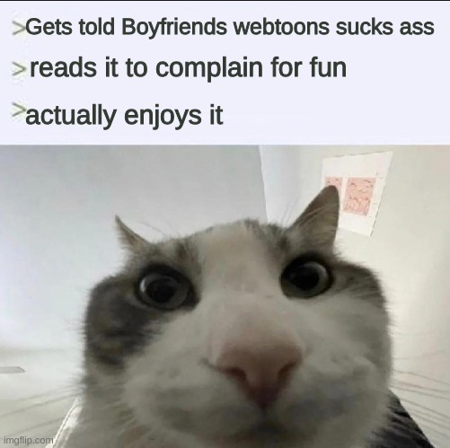 Cat looks inside | Gets told Boyfriends webtoons sucks ass; reads it to complain for fun; actually enjoys it | image tagged in cat looks inside | made w/ Imgflip meme maker