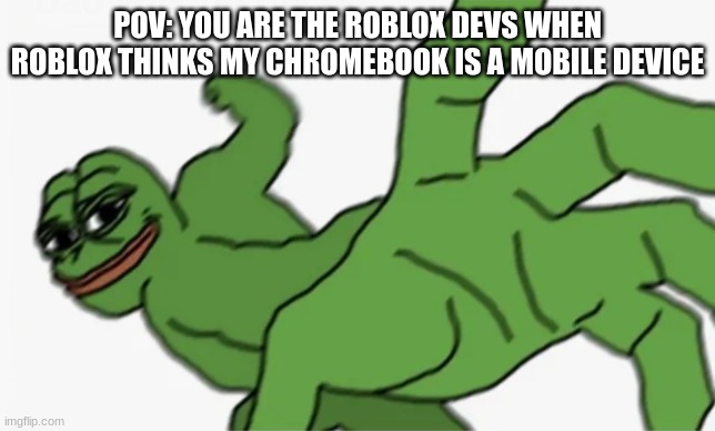 I swear to God I hate this problem so bad | POV: YOU ARE THE ROBLOX DEVS WHEN ROBLOX THINKS MY CHROMEBOOK IS A MOBILE DEVICE | image tagged in pepe punch | made w/ Imgflip meme maker
