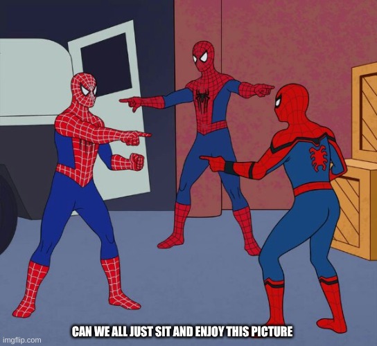 Spider Man Triple | CAN WE ALL JUST SIT AND ENJOY THIS PICTURE | image tagged in spider man triple,finally inner peace,don't mind me i'm just stealing the meme above | made w/ Imgflip meme maker