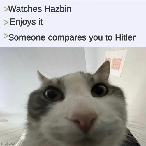 ik the show's bad but not THAT bad oml | Watches Hazbin; Enjoys it; Someone compares you to Hitler | image tagged in cat looks inside | made w/ Imgflip meme maker