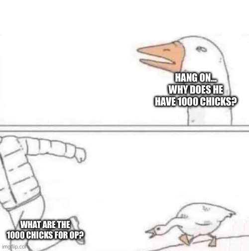 Goose Chase | HANG ON… WHY DOES HE HAVE 1000 CHICKS? WHAT ARE THE 1000 CHICKS FOR OP? | image tagged in goose chase | made w/ Imgflip meme maker