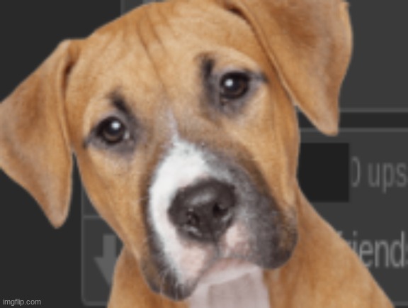 How much did Dawn's Dog suffer? | Imgflip Pain (shoutout to @V1) | made w/ Imgflip meme maker