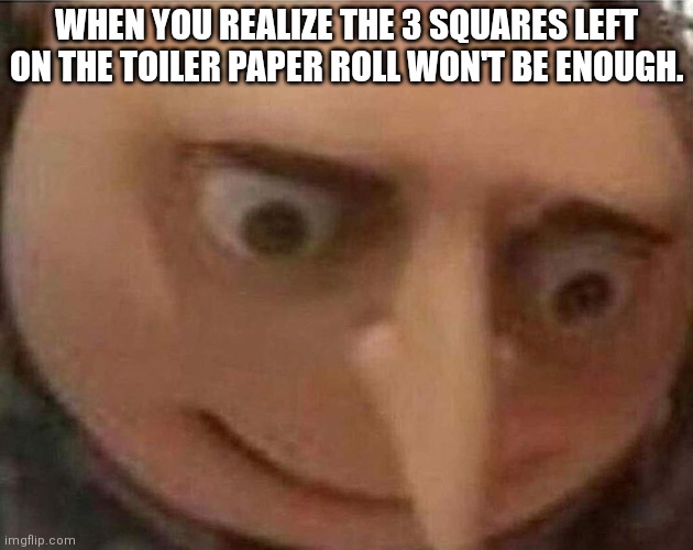 3 squares left | WHEN YOU REALIZE THE 3 SQUARES LEFT ON THE TOILER PAPER ROLL WON'T BE ENOUGH. | image tagged in gru oh shit | made w/ Imgflip meme maker