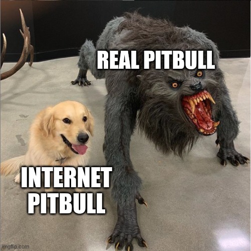 dog vs werewolf | REAL PITBULL; INTERNET PITBULL | image tagged in dog vs werewolf | made w/ Imgflip meme maker