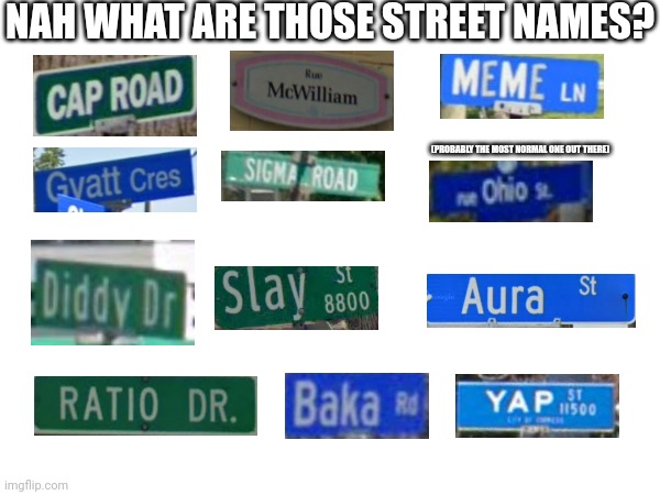 Funny (some of them are not) street names i found on google maps | NAH WHAT ARE THOSE STREET NAMES? (PROBABLY THE MOST NORMAL ONE OUT THERE) | image tagged in memes,brainrot,google maps,street names,funny | made w/ Imgflip meme maker