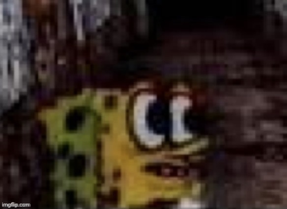 spongebob terrorized | image tagged in spongebob terrorized | made w/ Imgflip meme maker