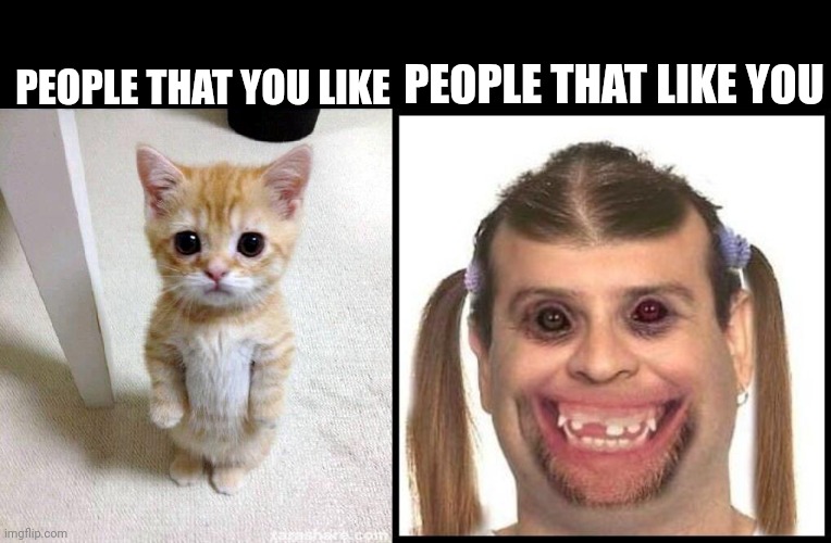 Djkskejaiksmdma | PEOPLE THAT LIKE YOU; PEOPLE THAT YOU LIKE | image tagged in memes,cute cat,ugly girls | made w/ Imgflip meme maker