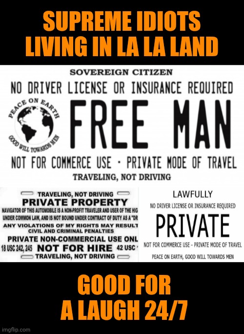 Funny | SUPREME IDIOTS LIVING IN LA LA LAND; GOOD FOR A LAUGH 24/7 | image tagged in funny,the constitution,government,political,citizen science,laugh | made w/ Imgflip meme maker