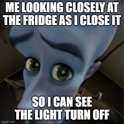 Megamind peeking | ME LOOKING CLOSELY AT THE FRIDGE AS I CLOSE IT; SO I CAN SEE THE LIGHT TURN OFF | image tagged in megamind peeking,memes,childhood,relatable | made w/ Imgflip meme maker
