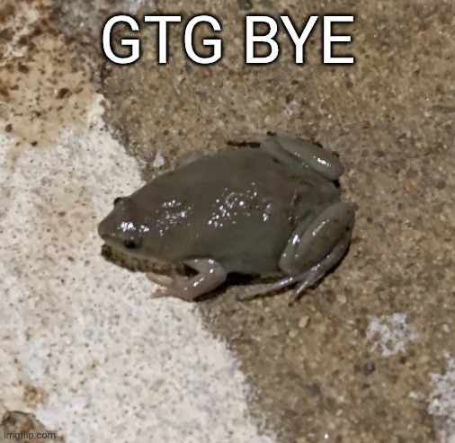 fog | GTG BYE | image tagged in fog | made w/ Imgflip meme maker