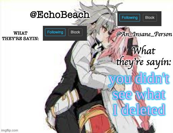 EchoBeach and InsanePerson shared temp :3 | you didn't see what I deleted | image tagged in echobeach and insaneperson shared temp 3 | made w/ Imgflip meme maker