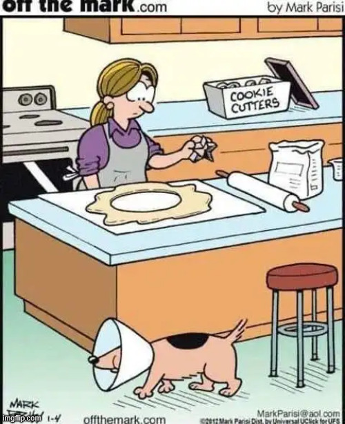 Big cookie | image tagged in repost,big cookie | made w/ Imgflip meme maker