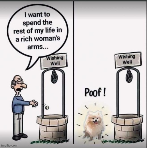 Wishing well | image tagged in repost,wishing well | made w/ Imgflip meme maker