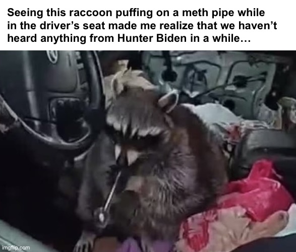 Hunter Biden’s Spirit Animal | Seeing this raccoon puffing on a meth pipe while 
in the driver’s seat made me realize that we haven’t 
heard anything from Hunter Biden in a while… | image tagged in raccoon,hunter biden,joe biden | made w/ Imgflip meme maker