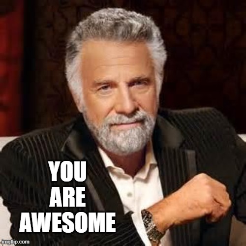 Dos Equis Guy Awesome | YOU
ARE
AWESOME | image tagged in dos equis guy awesome | made w/ Imgflip meme maker