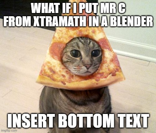 pizza cat | WHAT IF I PUT MR C FROM XTRAMATH IN A BLENDER; INSERT BOTTOM TEXT | image tagged in pizza cat | made w/ Imgflip meme maker
