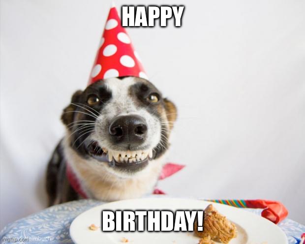 birthday dog | HAPPY BIRTHDAY! | image tagged in birthday dog | made w/ Imgflip meme maker