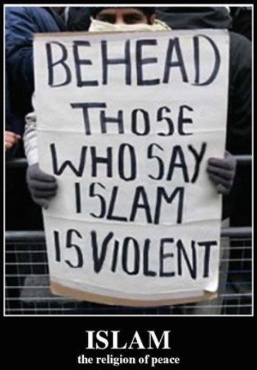 More Looney Toon Liberal Logic | image tagged in liberal logic,liberal hypocrisy,islam,libtards,muslims,radical islam | made w/ Imgflip meme maker