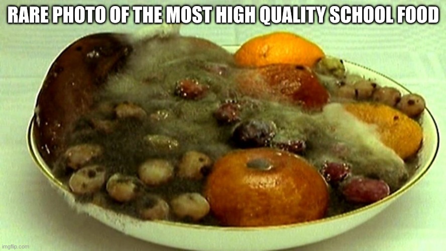 SCHOOL BREAKING RECORDS | RARE PHOTO OF THE MOST HIGH QUALITY SCHOOL FOOD | image tagged in relatable,funny,school,lunch,memes | made w/ Imgflip meme maker