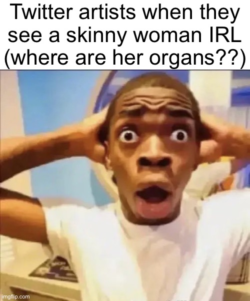 flight reacts | Twitter artists when they
see a skinny woman IRL
(where are her organs??) | image tagged in flight reacts | made w/ Imgflip meme maker