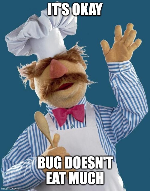 Swedish Chef | IT'S OKAY BUG DOESN'T EAT MUCH | image tagged in swedish chef | made w/ Imgflip meme maker