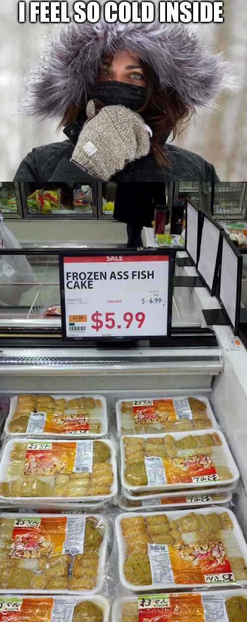 Cold ass fish | I FEEL SO COLD INSIDE | image tagged in cold girl,ass,fish,frozen,assorted | made w/ Imgflip meme maker