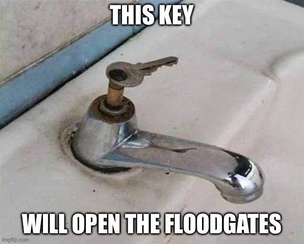 Key | THIS KEY; WILL OPEN THE FLOODGATES | image tagged in key,tap,water,flood | made w/ Imgflip meme maker
