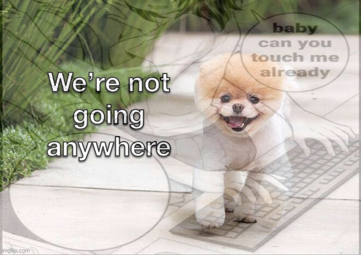 made w/ Imgflip meme maker