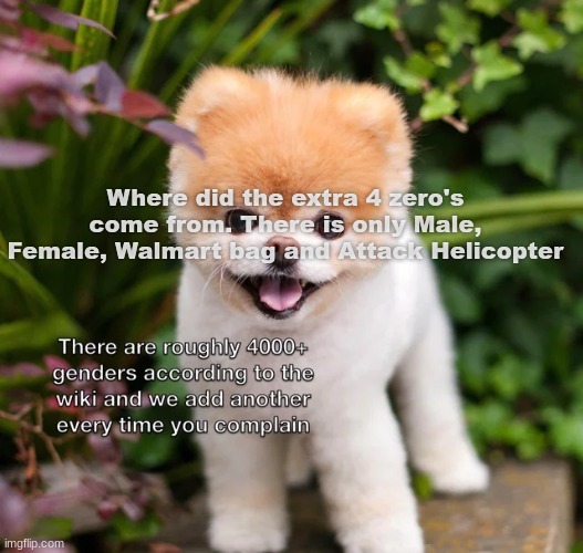 Where did the extra 4 zero's come from. There is only Male, Female, Walmart bag and Attack Helicopter | made w/ Imgflip meme maker