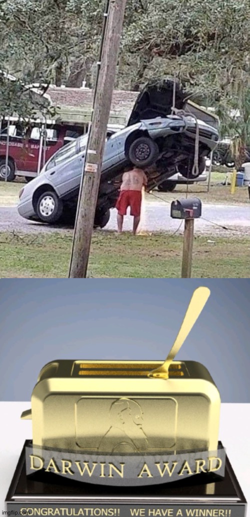 Darwin Award | image tagged in darwin award trophy,car,mechanic | made w/ Imgflip meme maker