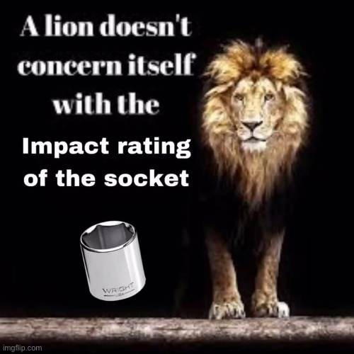 Lion | image tagged in lion,concern,impact | made w/ Imgflip meme maker