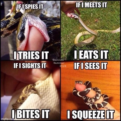 Cute sneks | image tagged in snek,too cute,eating | made w/ Imgflip meme maker