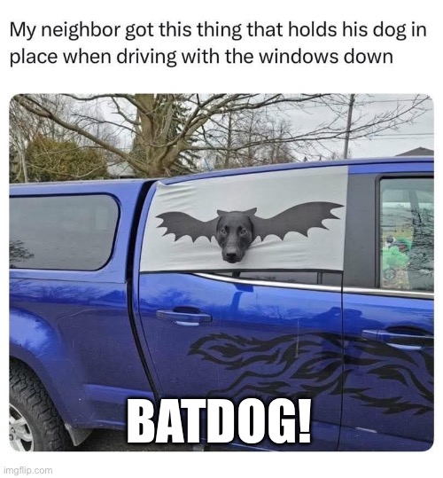 Batdog | BATDOG! | image tagged in batman,dog | made w/ Imgflip meme maker