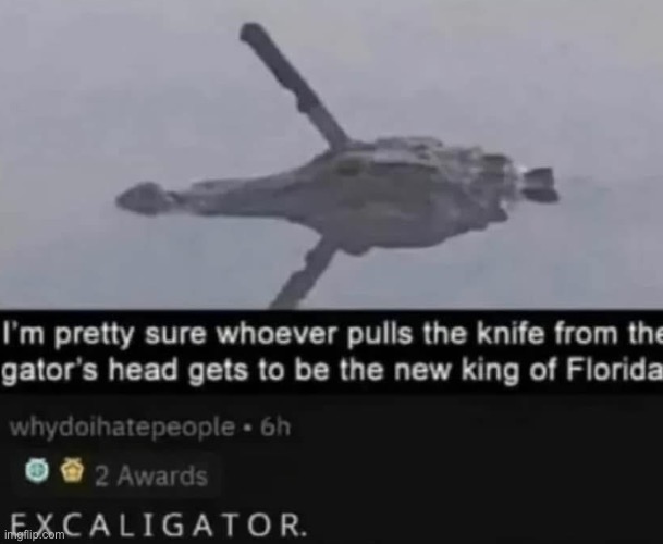 Meanwhile in Florida | image tagged in florida,king,alligator,excalibur | made w/ Imgflip meme maker