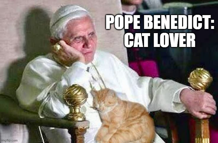 Pope Benedict: Cat lover !! | POPE BENEDICT: CAT LOVER | image tagged in cats,cute,kitten,pope,cat lover,vatican | made w/ Imgflip meme maker