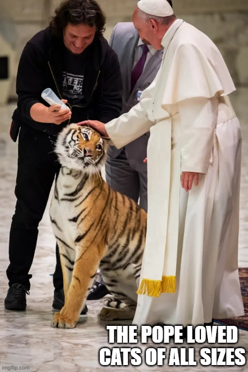 Pope Benedict loved cats of all sizes !! | THE POPE LOVED CATS OF ALL SIZES | image tagged in cats,pope,kitten,tiger,love | made w/ Imgflip meme maker