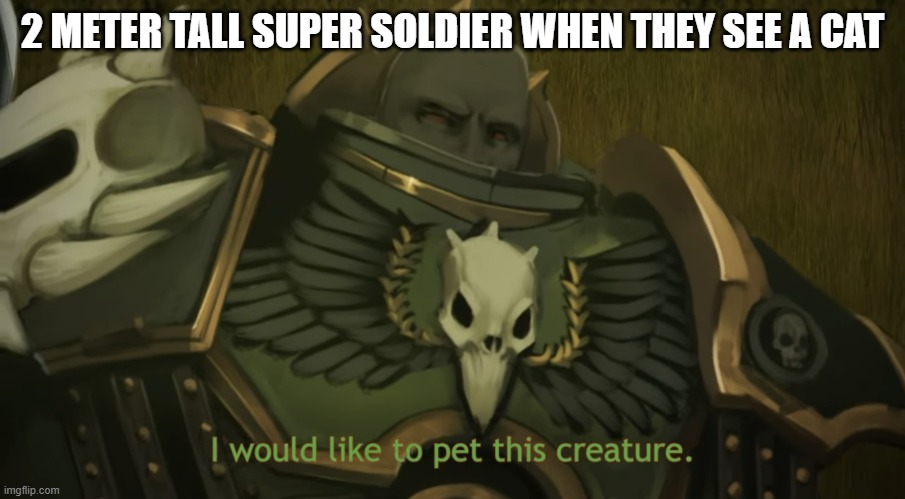 I would like to pet this creature | 2 METER TALL SUPER SOLDIER WHEN THEY SEE A CAT | image tagged in i would like to pet this creature,40k,warhammer 40k | made w/ Imgflip meme maker