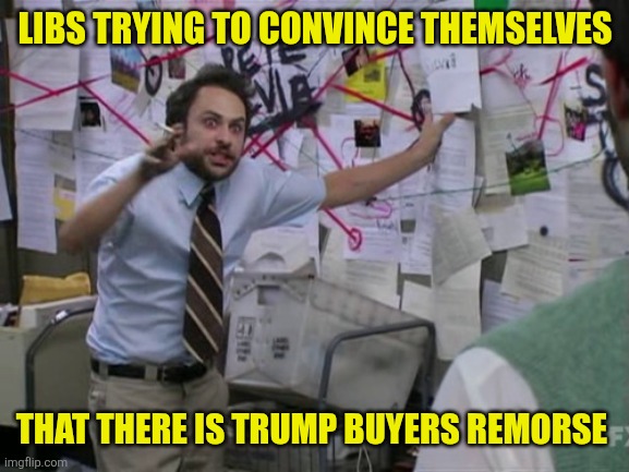 just... ssstop! | LIBS TRYING TO CONVINCE THEMSELVES; THAT THERE IS TRUMP BUYERS REMORSE | image tagged in charlie day,donald trump,democrats | made w/ Imgflip meme maker