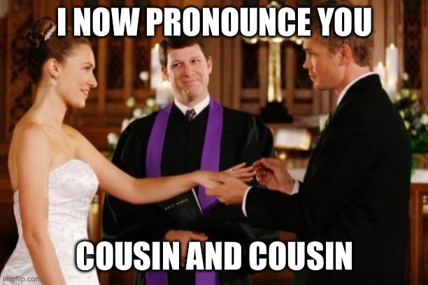 Wedding Altar | I NOW PRONOUNCE YOU; COUSIN AND COUSIN | image tagged in wedding altar | made w/ Imgflip meme maker