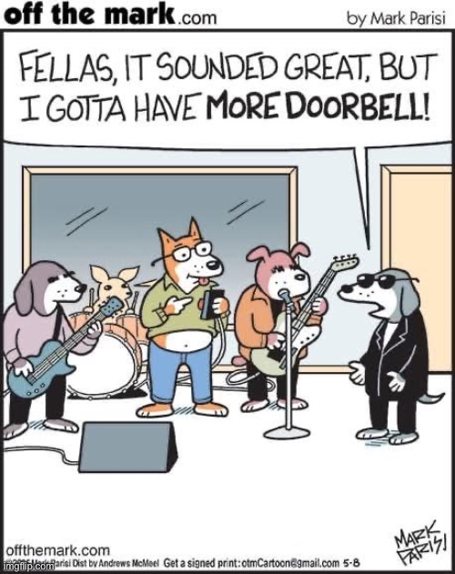 Dog band | image tagged in dog,band | made w/ Imgflip meme maker