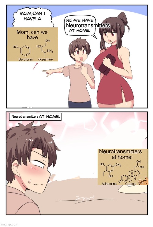 Neurotransmitters | Neurotransmitters; Neurotransmitters | image tagged in mom can i have a meme,neurotransmitters,dopamine,seratonin,cortisol,adrenaline | made w/ Imgflip meme maker