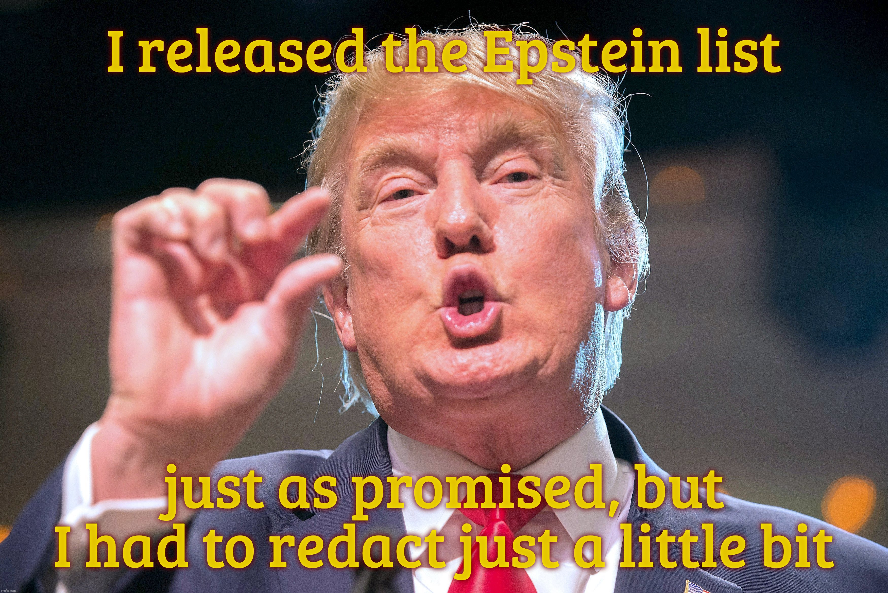 I released the Epstein list; just as promised, but
I had to redact just a little bit | made w/ Imgflip meme maker