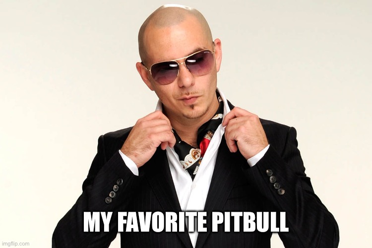 Pitbull Song | MY FAVORITE PITBULL | image tagged in pitbull song | made w/ Imgflip meme maker