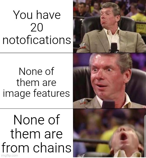 These typa notifs are worth gold bruh | You have 20 notofications; None of them are image features; None of them are from chains | image tagged in mcmahon | made w/ Imgflip meme maker