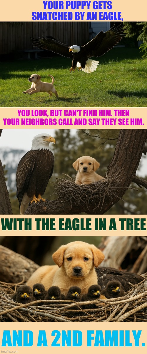 Has This Ever Happened To You? | YOUR PUPPY GETS SNATCHED BY AN EAGLE, YOU LOOK, BUT CAN'T FIND HIM. THEN YOUR NEIGHBORS CALL AND SAY THEY SEE HIM. WITH THE EAGLE IN A TREE; AND A 2ND FAMILY. | image tagged in memes,fun,eagle,snatch,puppy,family life | made w/ Imgflip meme maker