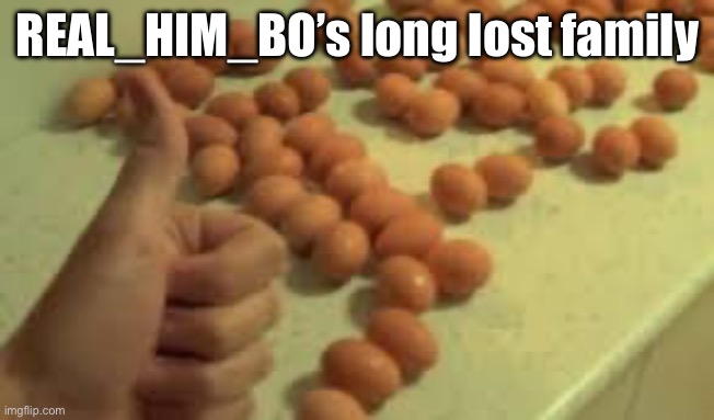 REAL_HIM_BO’s long lost family | image tagged in egg | made w/ Imgflip meme maker