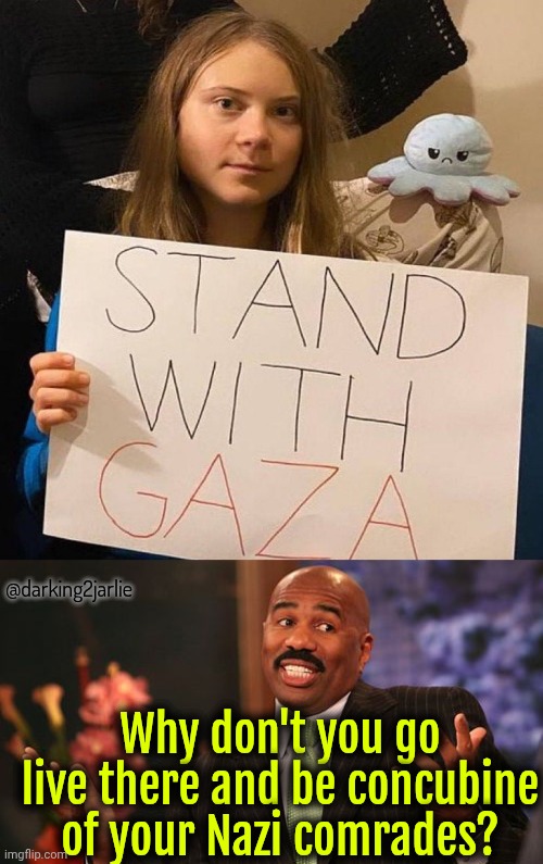 She's from germanic tribe with golden hair. Her Turk National Socialists comrades would love her. | @darking2jarlie; Why don't you go live there and be concubine of your Nazi comrades? | image tagged in palestine,greta thunberg,liberal logic,nazis | made w/ Imgflip meme maker