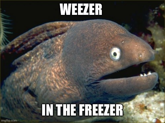 Bad Joke Eel | WEEZER; IN THE FREEZER | image tagged in memes,bad joke eel | made w/ Imgflip meme maker